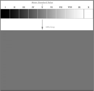 how light meters work